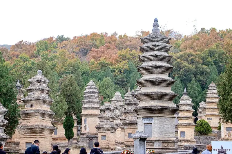 The Pagoda Forest in autumn