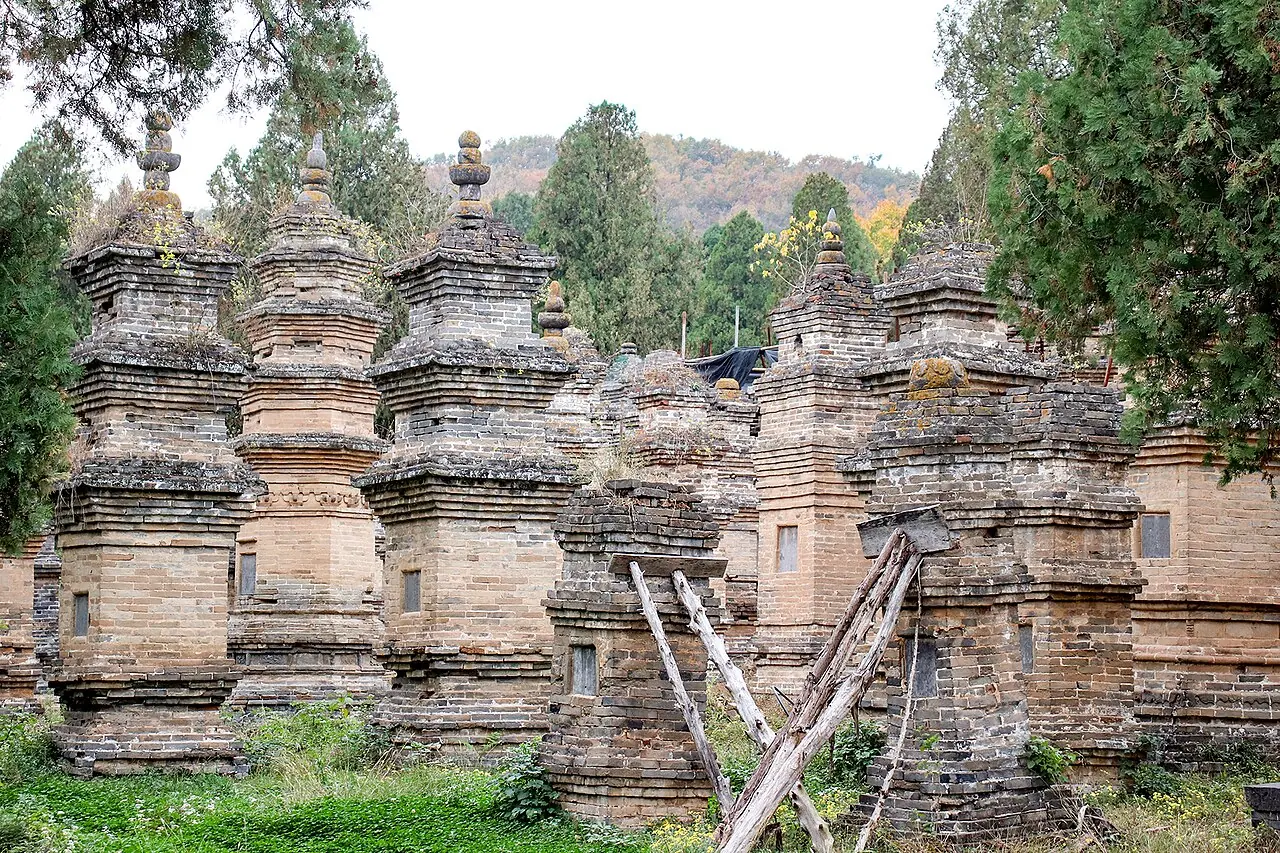 Longmen in peony season